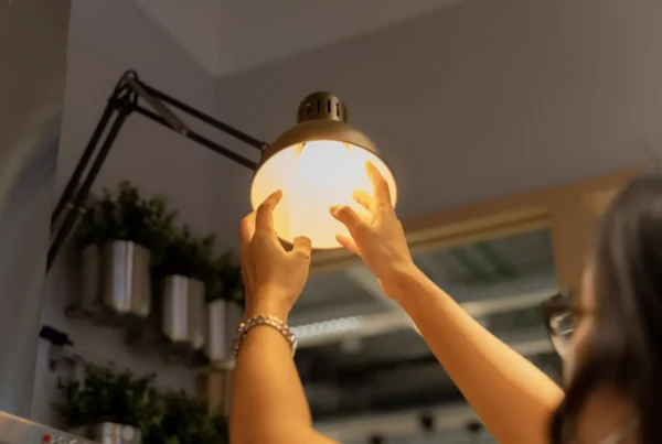 precio de la luz hoy 20 de noviembre de 2025