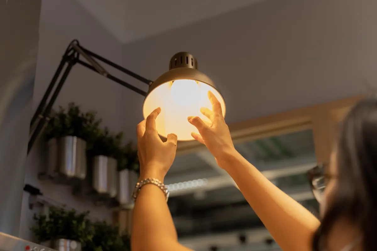 Un descenso para la tranquilidad del consumidor en el precio de la luz, hoy 20 de noviembre de 2025