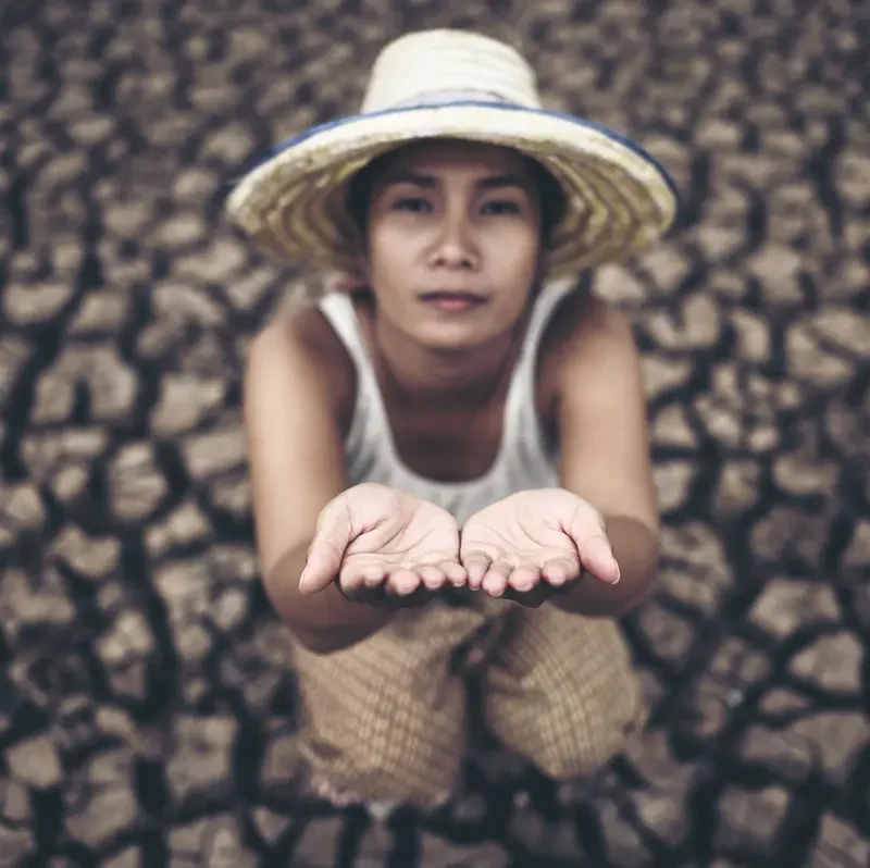 seguros catástrofes naturales