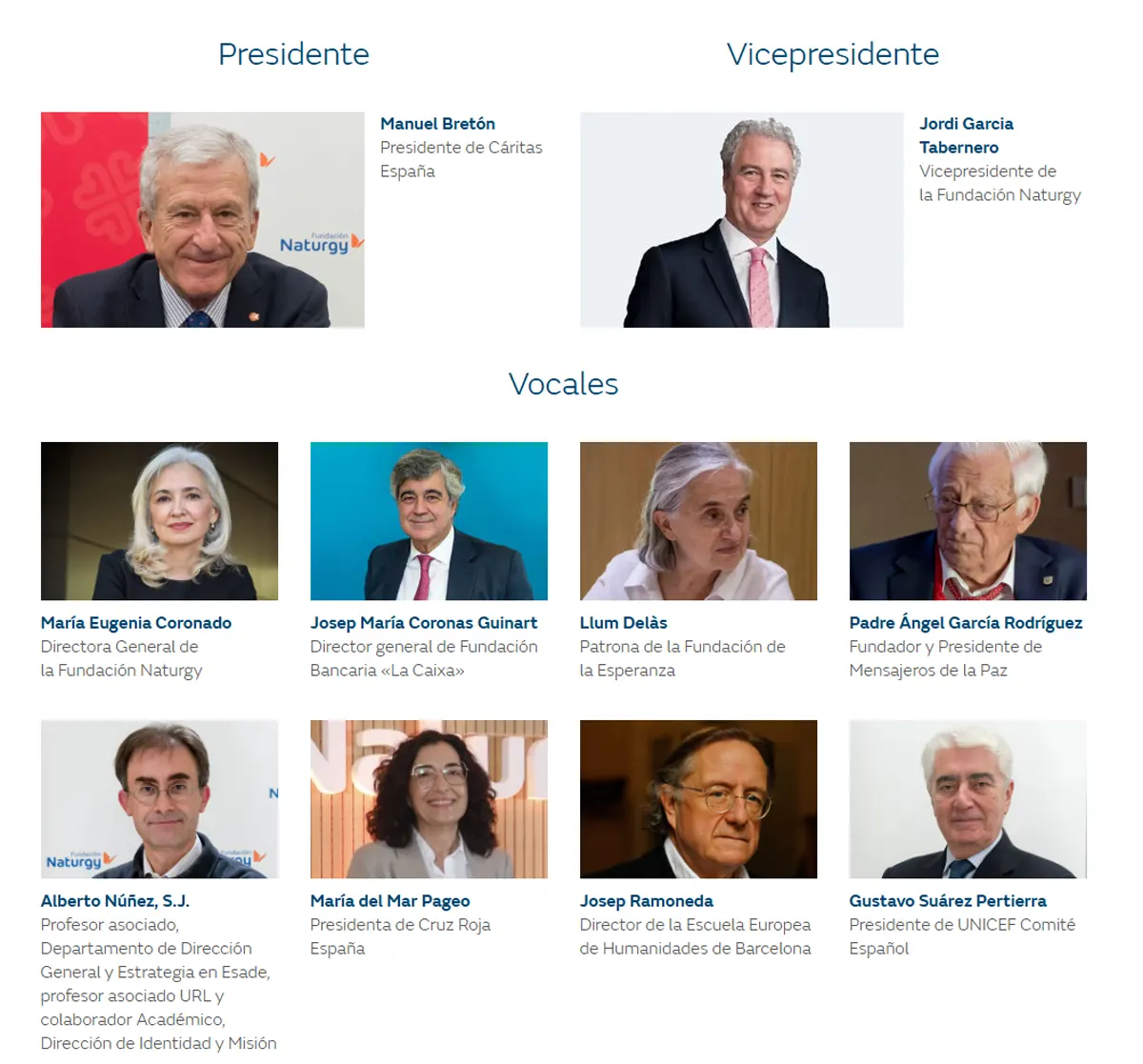 Jurado VII Premio a la Mejor Iniciativa Social en el Ámbito Energético