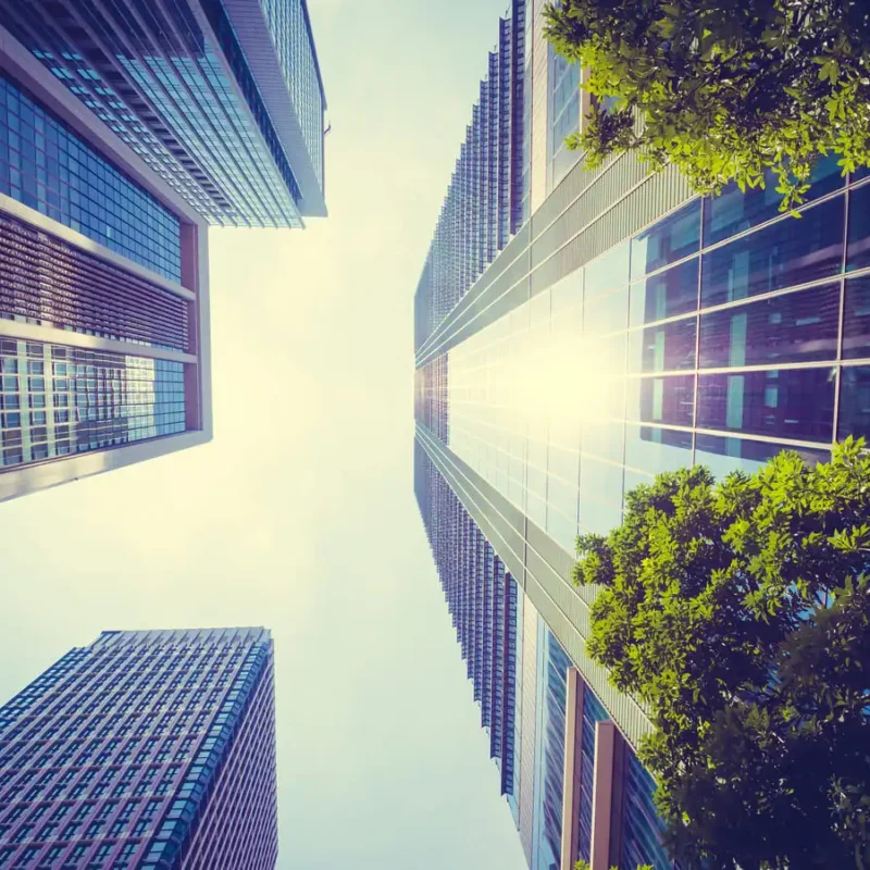 Q-Planet sostenibilidad medioambiental