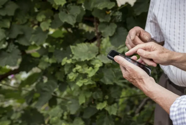 digitalización zonas rurales