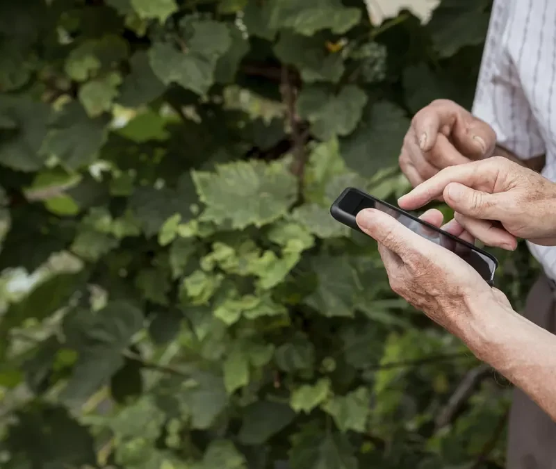 digitalización zonas rurales