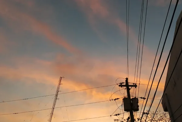 precio de la luz hoy 26 de enero de 2026