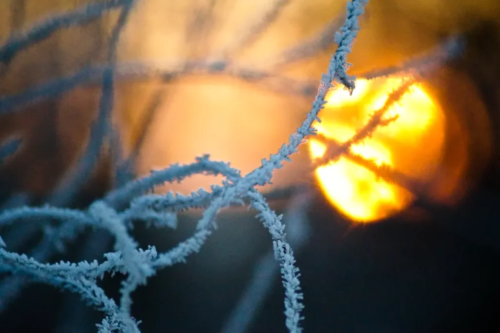 precio de la luz hoy 7 de enero de 2026