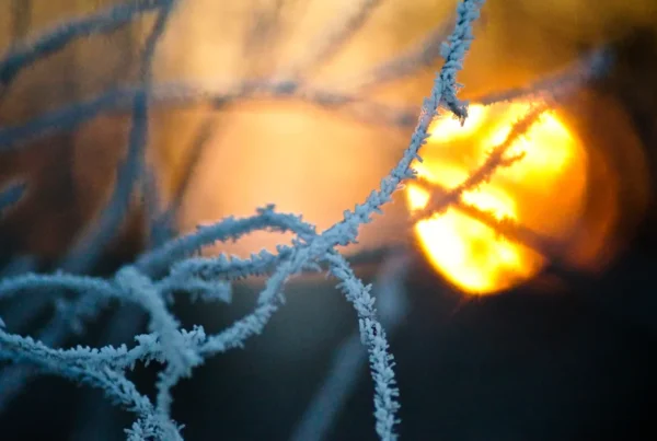 precio de la luz hoy 7 de enero de 2026