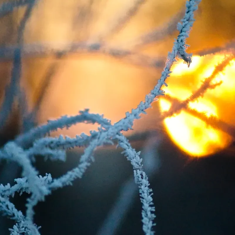 precio de la luz hoy 7 de enero de 2026