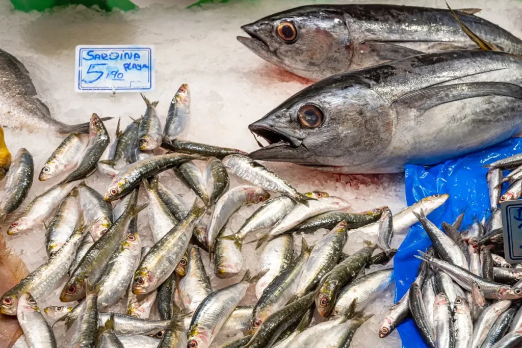 qué es la escombroidosis