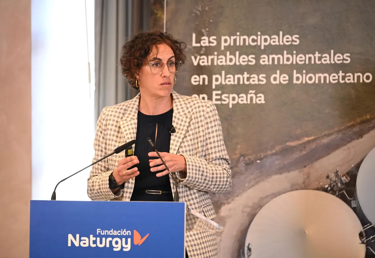 Amelia-Olid-Rodriguez