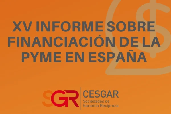 XV Informe sobre Financiación de la Pyme en España