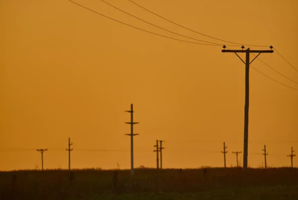 precio de la luz hoy 11 de junio de 2026