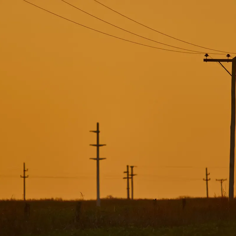 precio de la luz hoy 11 de junio de 2026
