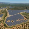 producción aceite energías renovables