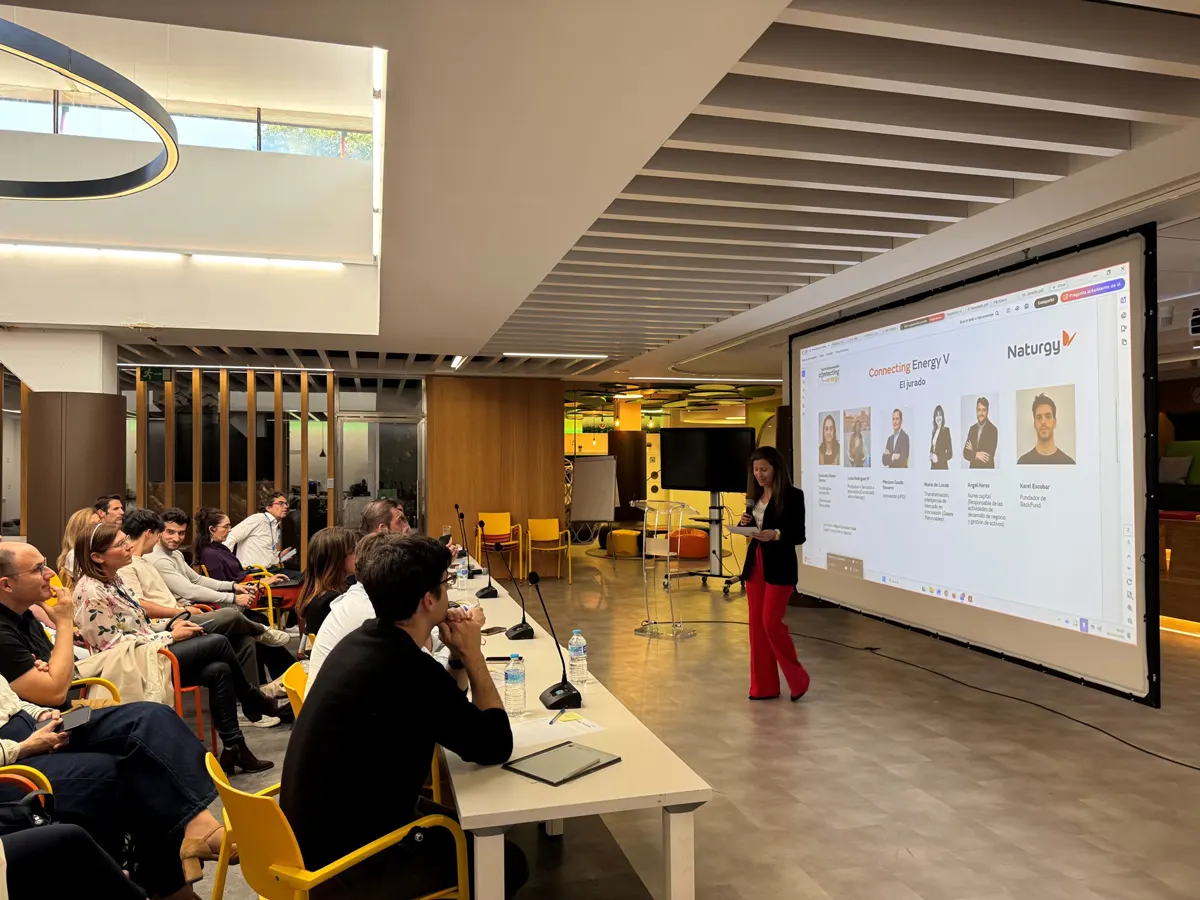 Participantes-de-la-V-edicion-de-Connecting-Energy